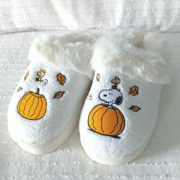 2024 American Eagle Peanuts Snoopy Woodstock Fall Slippers size